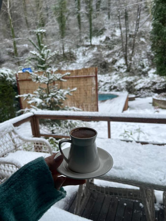 Bls Bungalove Sapanca Bagian luar foto